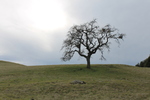 photo thumbnail #14