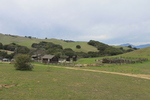 photo thumbnail #15