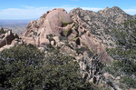 photo thumbnail #8