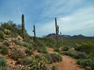 photo thumbnail #9