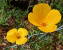 photo thumbnail #10