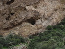 photo thumbnail #11