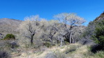 photo thumbnail #12
