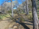 photo thumbnail #13