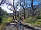 photo thumbnail #14