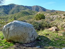 photo thumbnail #15