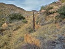 photo thumbnail #5