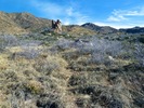 photo thumbnail #7