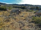 photo thumbnail #10