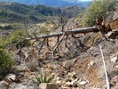 photo thumbnail #12