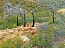 photo thumbnail #14