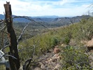 photo thumbnail #15
