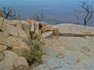 2013-03-03 :1: Pine Mountain 6236 - Mazatzals :: FLYING_FLIVER