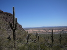 photo thumbnail #4