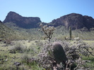 photo thumbnail #5