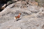 photo thumbnail #6