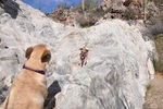 photo thumbnail #7