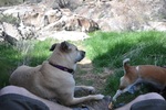 photo thumbnail #9