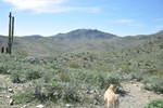 photo thumbnail #12