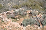 photo thumbnail #15