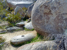 photo thumbnail #12