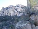photo thumbnail #7