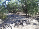 photo thumbnail #9