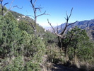 photo thumbnail #11