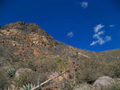 photo thumbnail #5