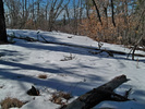 photo thumbnail #13
