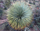 2013-03-08 :2: Dutchman Trail #104 :: toddak
