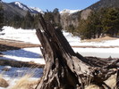 photo thumbnail #4