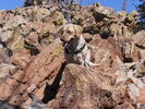 photo thumbnail #9