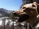 photo thumbnail #10