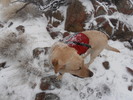photo thumbnail #3