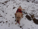 photo thumbnail #4