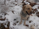 photo thumbnail #6