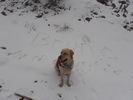 photo thumbnail #10