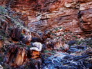 photo thumbnail #9