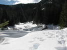 photo thumbnail #13