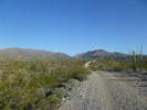 photo thumbnail #1