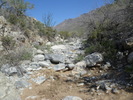 photo thumbnail #5