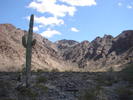 photo thumbnail #12