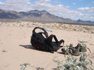 photo thumbnail #14