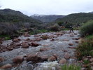 photo thumbnail #1