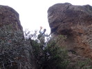 photo thumbnail #7