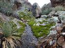 photo thumbnail #8