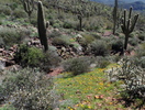 photo thumbnail #6