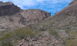 photo thumbnail #3