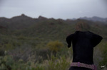 photo thumbnail #7